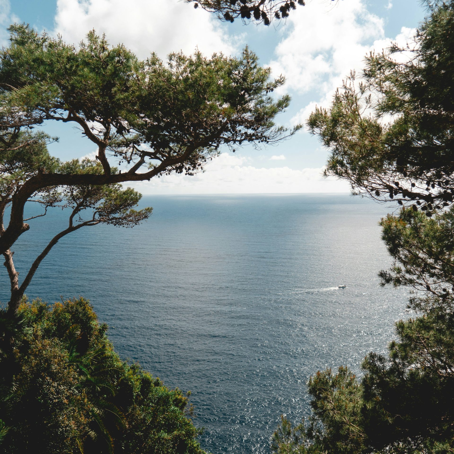 will-truettner-ArfMjDiF2sY-unsplash (2)