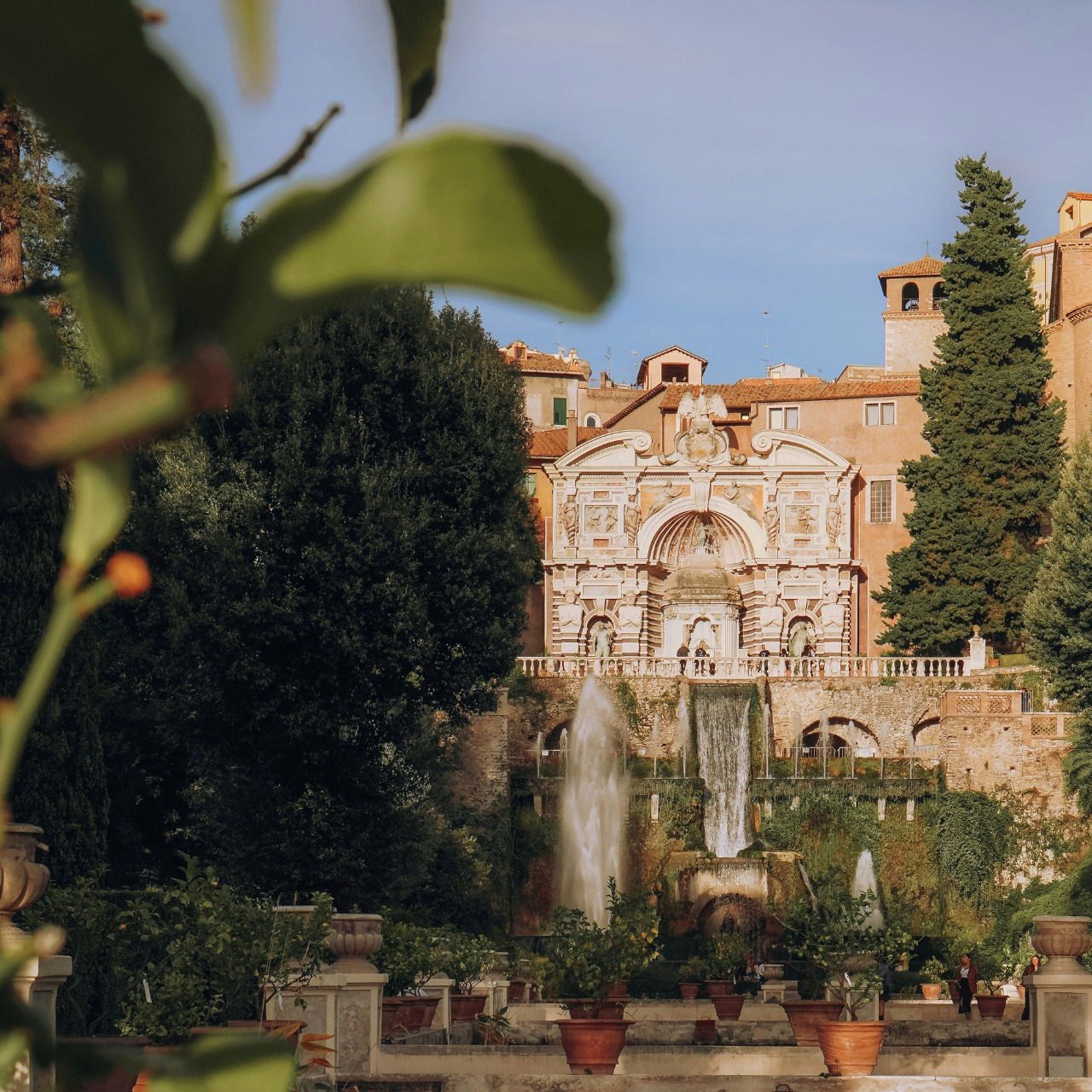 Progetto senza titolo (66)